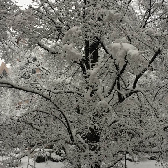 Meet your Posher, Alfred - Picture 1 of 1